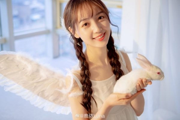 Qin Niu Zheng Wei