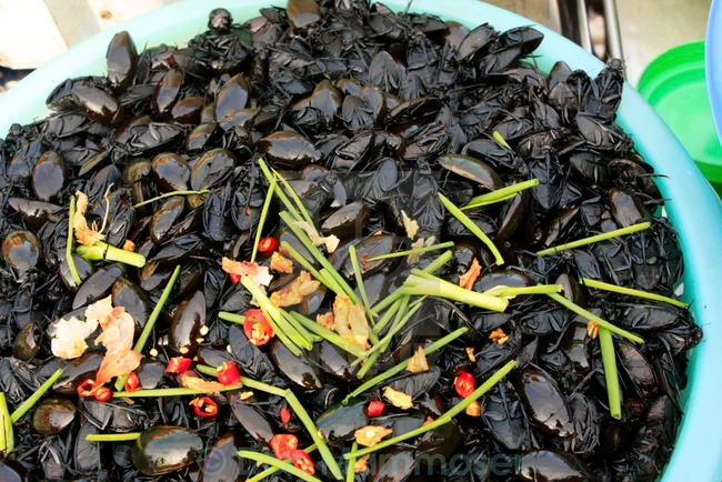 សត្វល្អិតបំពង