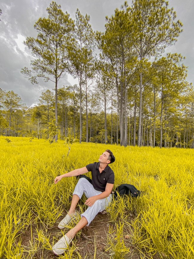 វាលស្មៅដើមស្រល់គីរីរម្យ (រូបភាពពី៖ Rainie Dara)